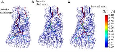 Thermal Analysis of Blood Flow Alterations in Human Hand and Foot Based on Vascular-Porous Media Model